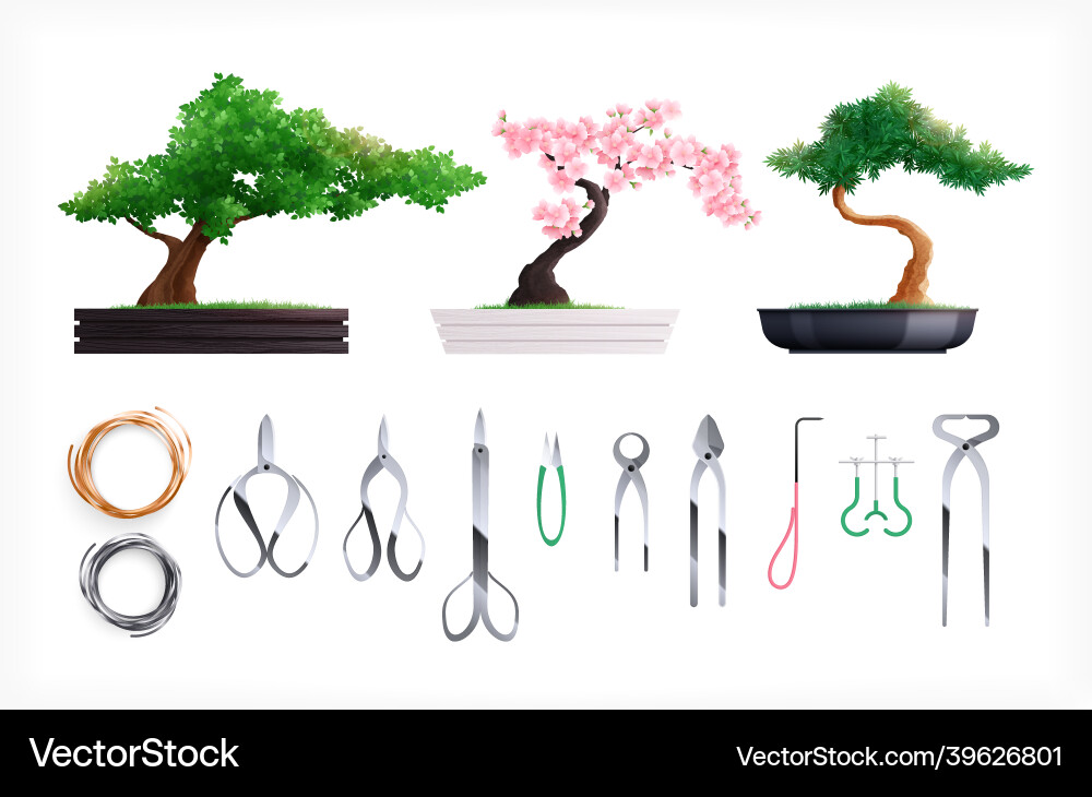 Bonsai Growing Set - Asian Style vector image