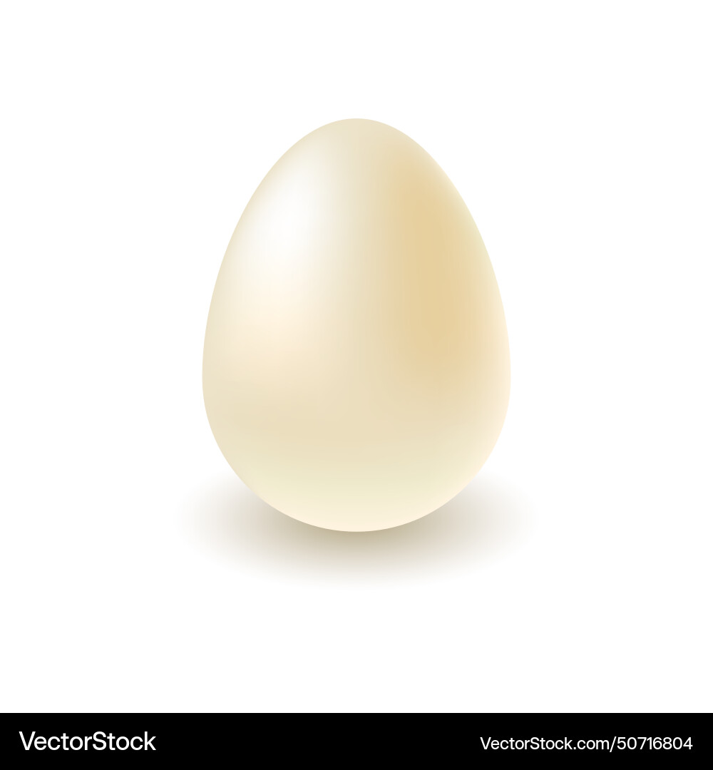 White chocolate egg Royalty Free Vector Image - VectorStock