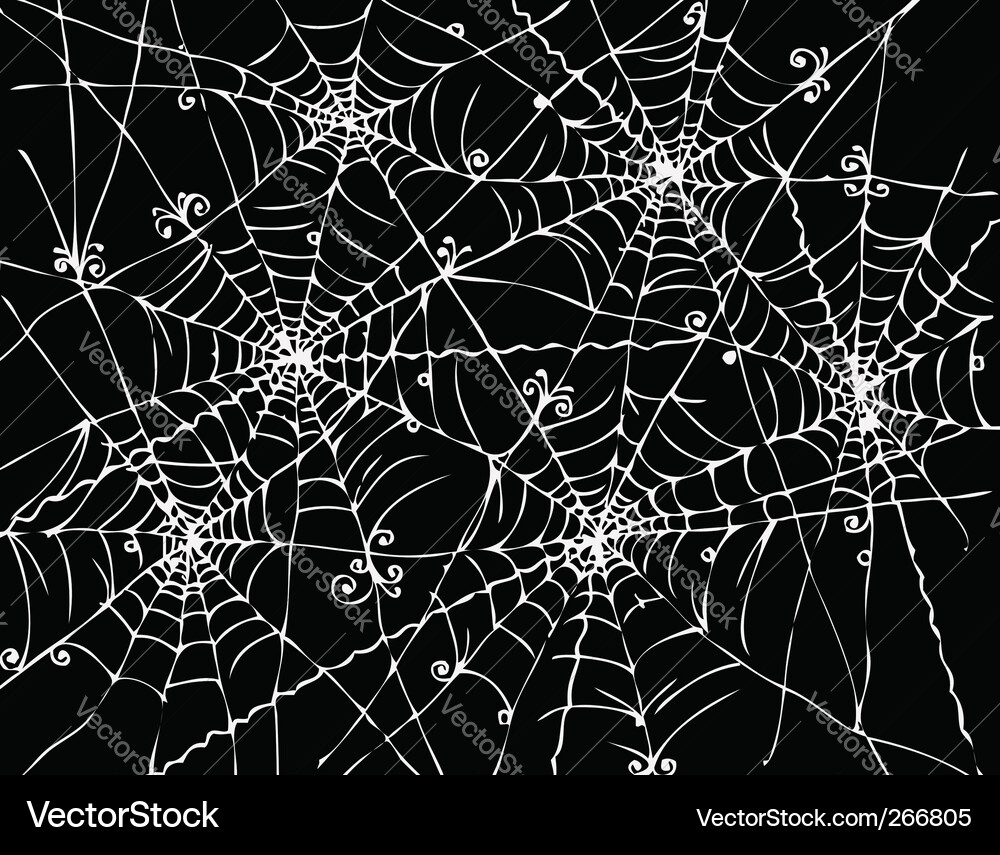 Web background Vector Image