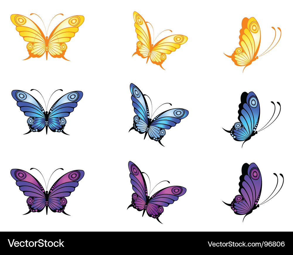 Colorful Butterfly Vector Image
