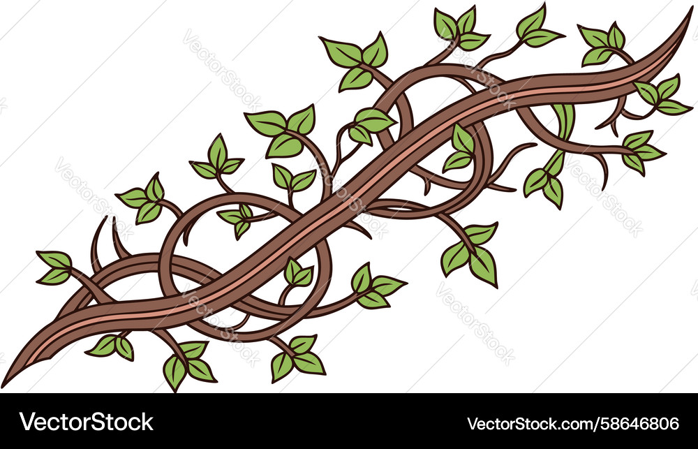 Tree branch with climbing vine border design Vector Image