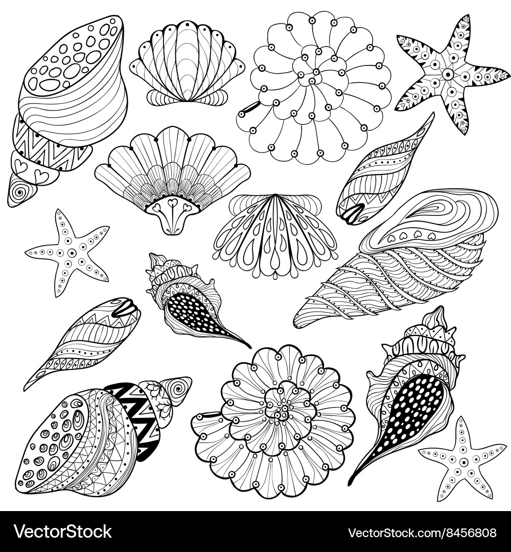 Intricate Seashell Pattern vector image
