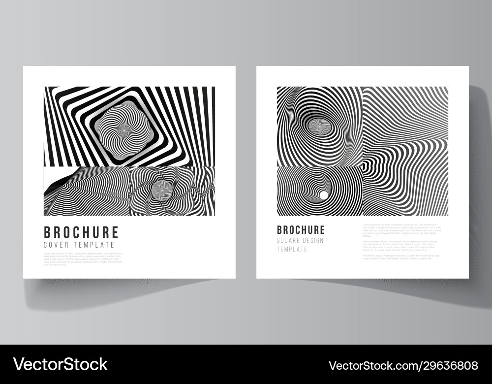 Minimal layout two square format Vector Image