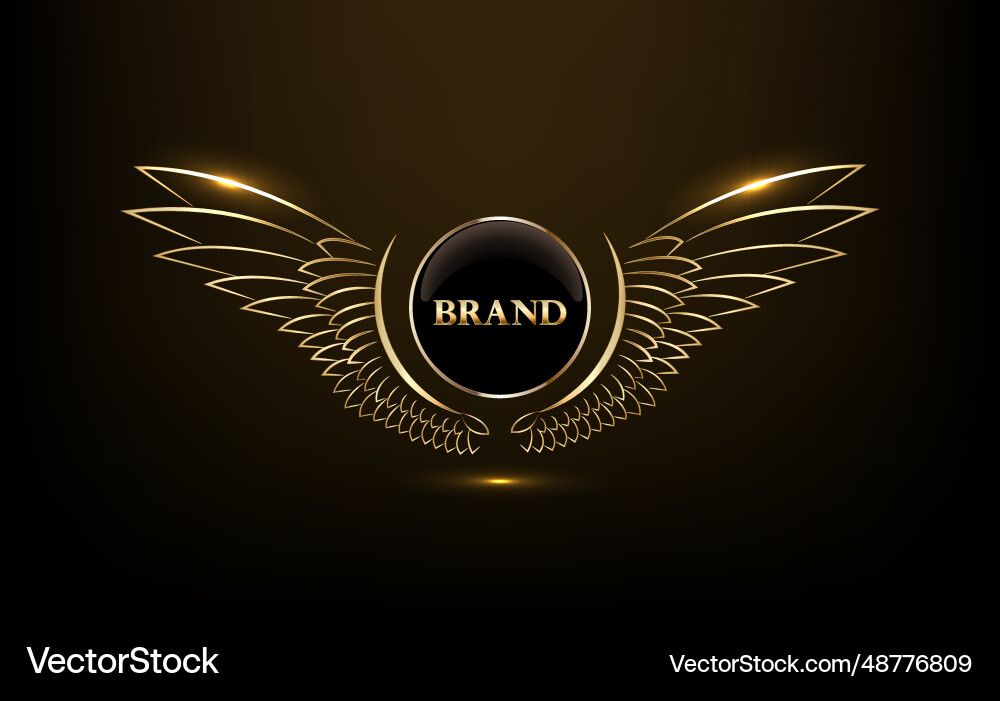 A luxury black gold logo A luxury black gold logo vector image