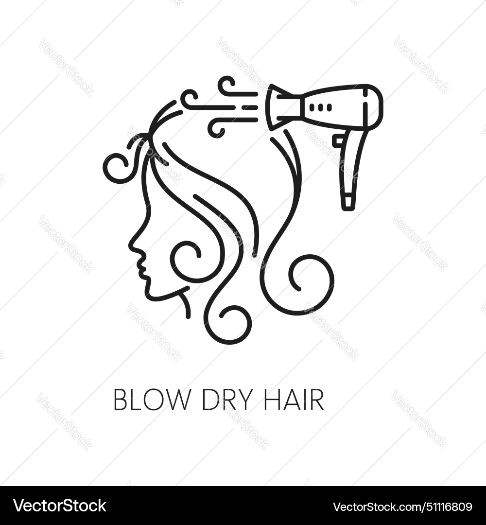 Blow dry hair icon isolated care sign vector image