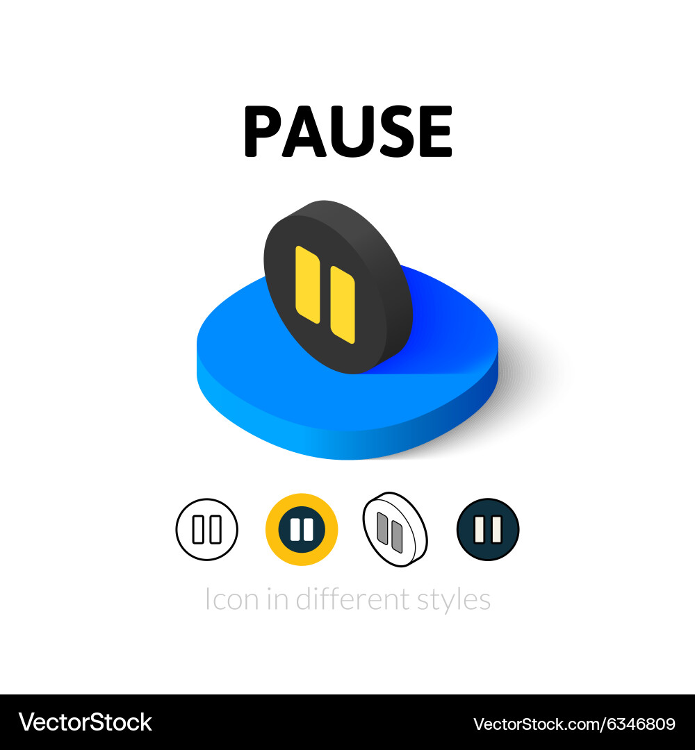Pause icon in different style vector image
