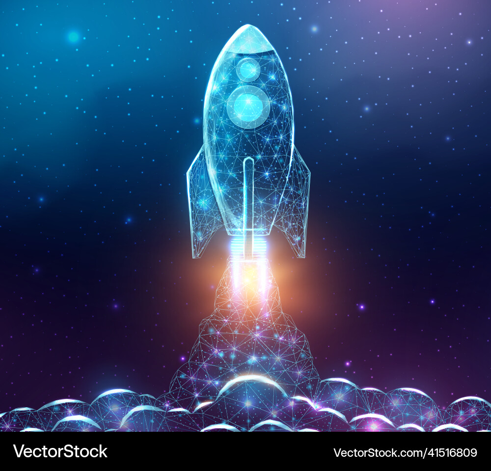 Rocket launch wireframe polygonal style internet Rocket launch wireframe polygonal style internet vector image