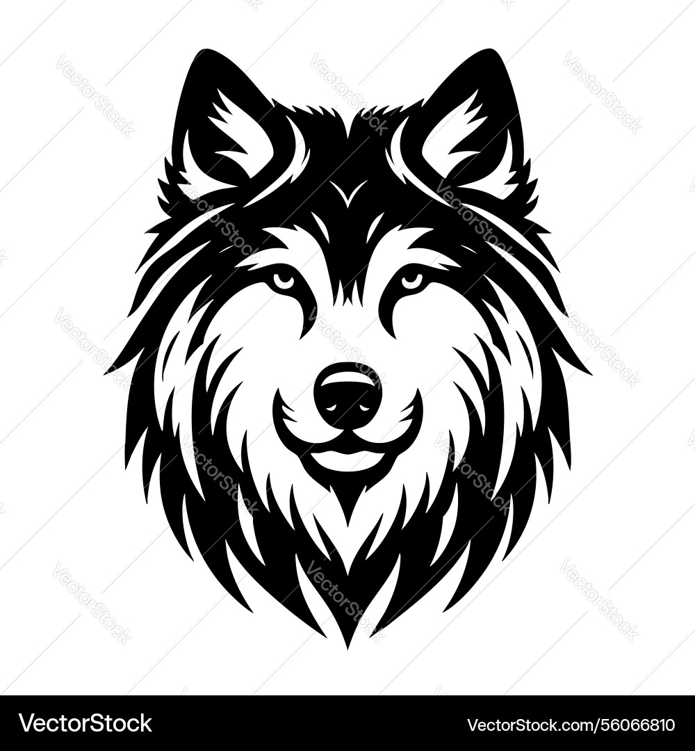 Majestic wolf head black and white portrait Majestic wolf head black and white portrait vector image