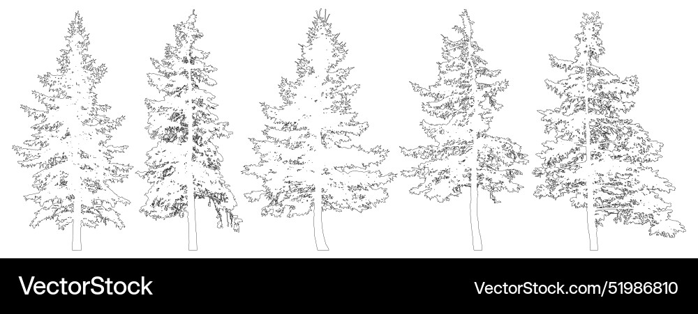 Set of fir trees for architecture and landscape Set of fir trees for architecture and landscape vector image