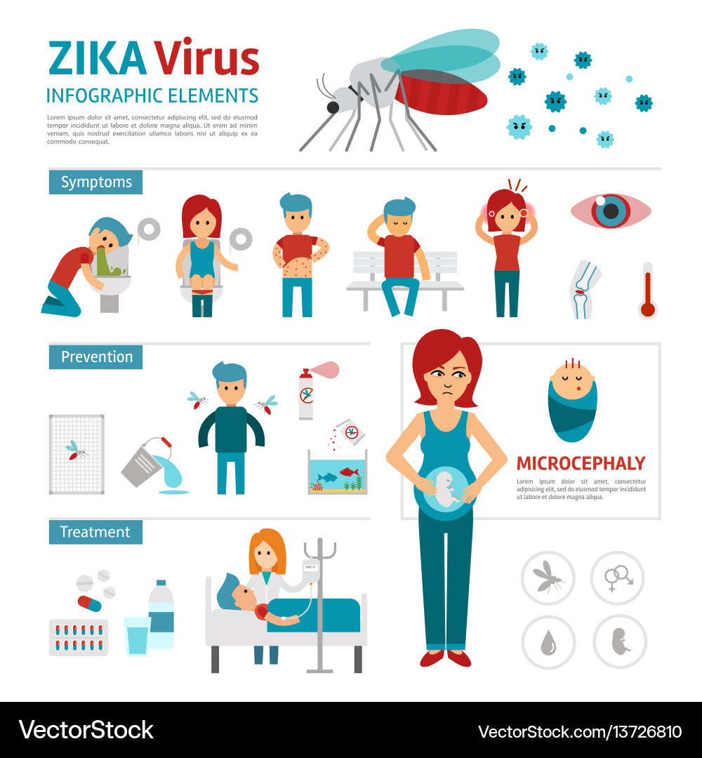 Zika Virus Symptoms and Prevention Vector Image