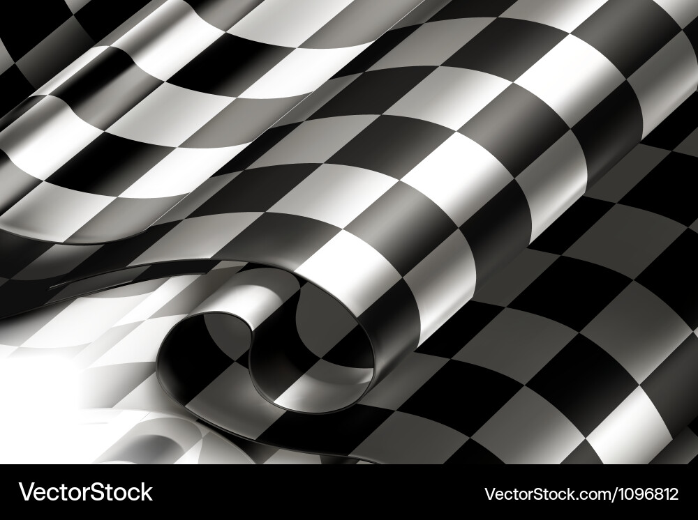 Racing Checkered Pattern vector image