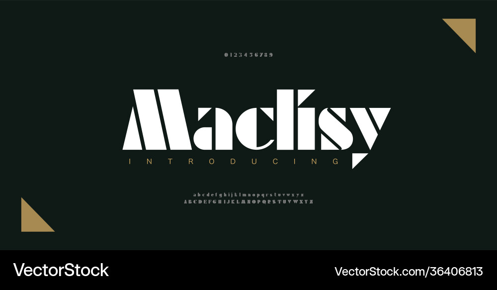 Elegant Alphabet Font & Number Set vector image