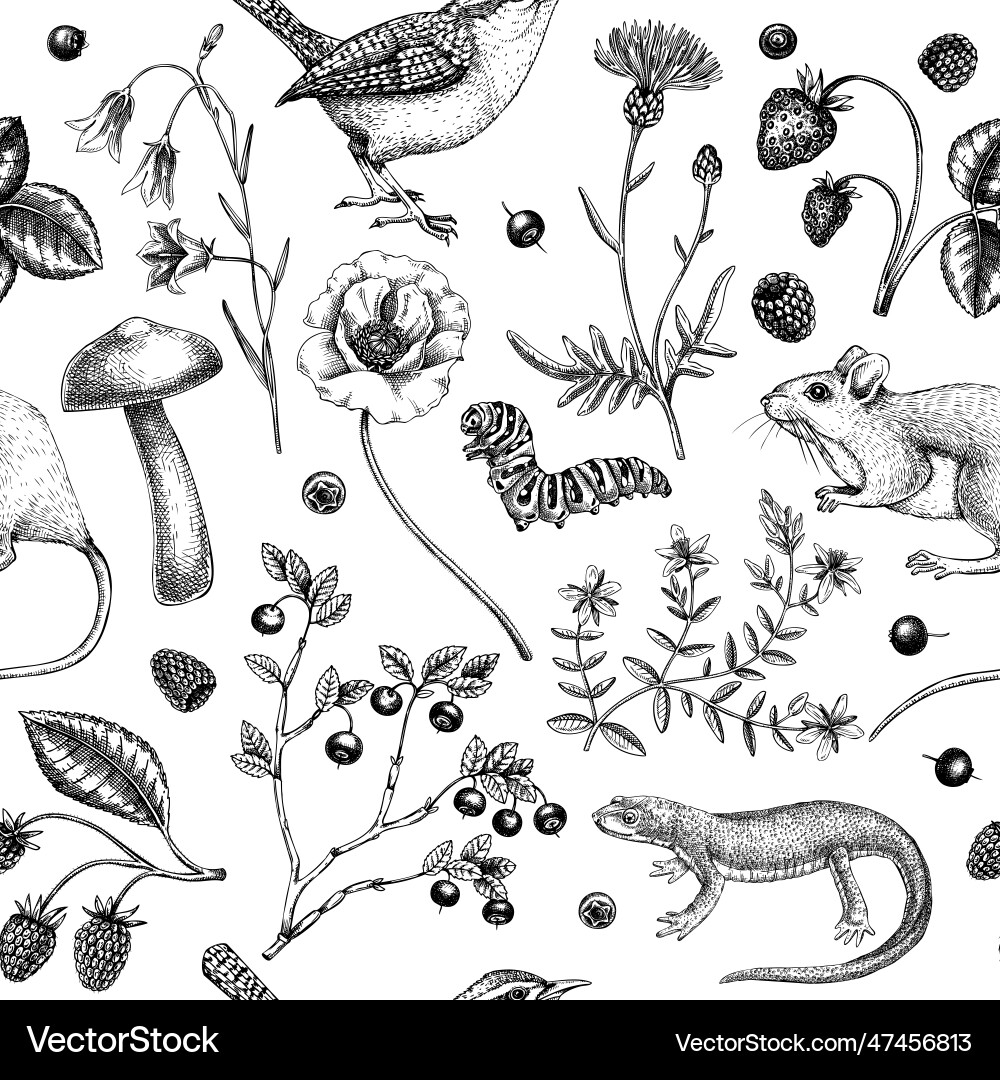 Sommer Hintergrund Blumen Textur Design Tierwelt Sommer Hintergrund Blumen Textur Design Tierwelt vektorbild