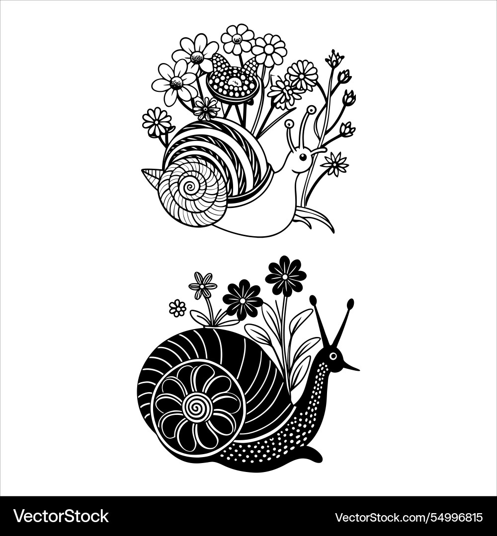 Snail with patterned shell Snail with patterned shell Vector Image