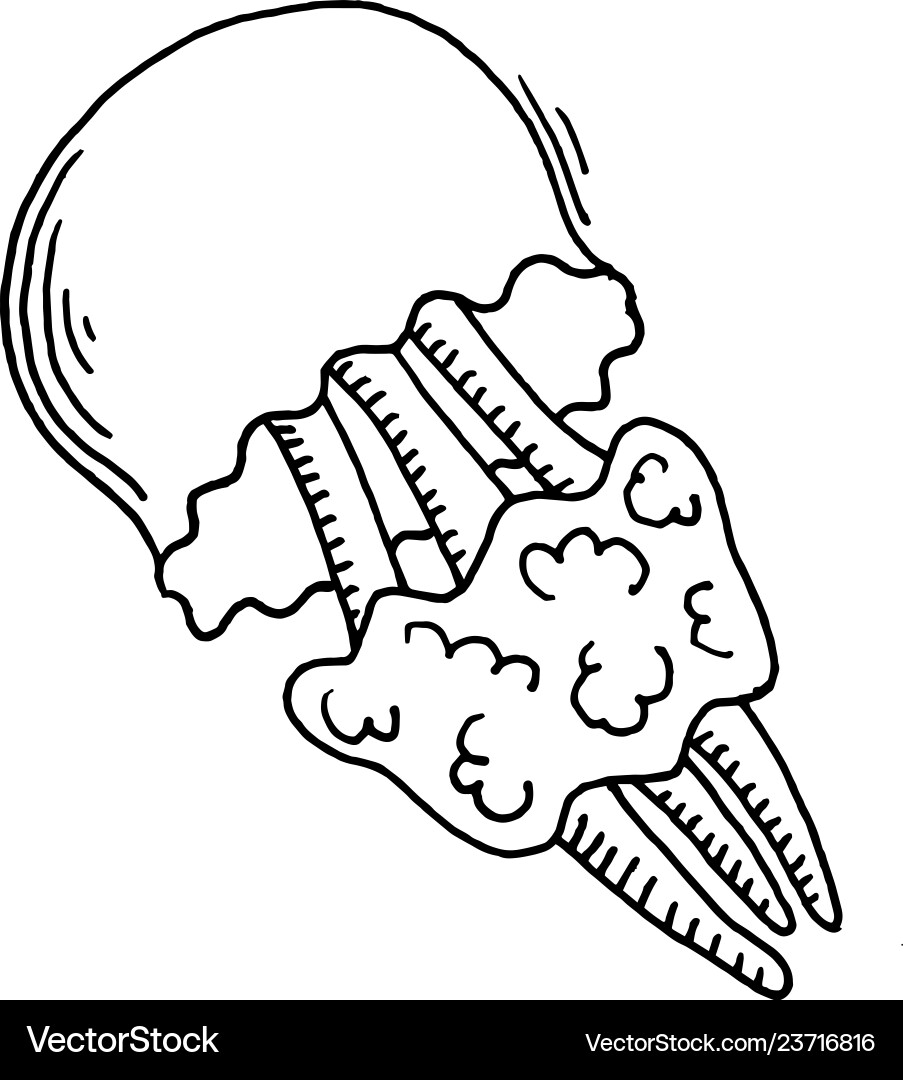 Jellyfish sketch drawing icon summer themed Vector Image