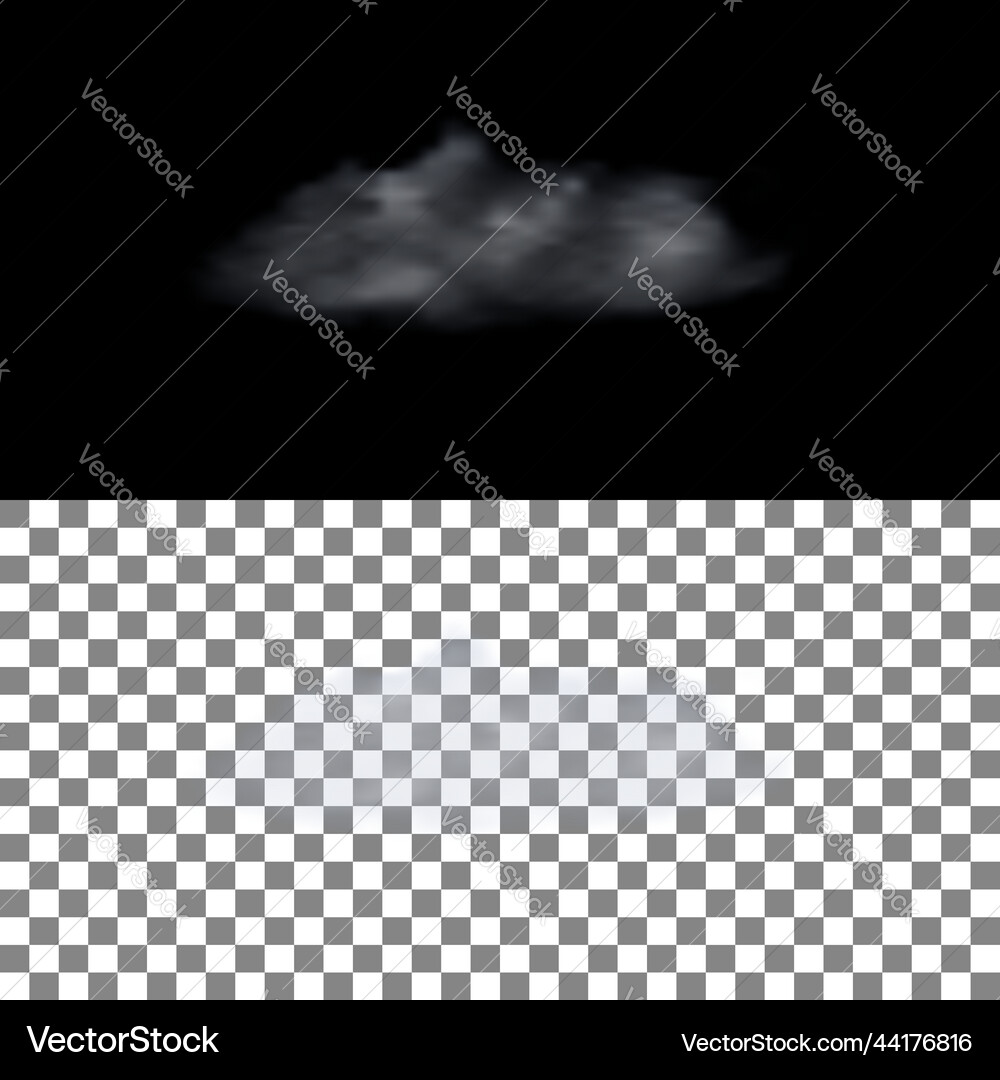 Realistic cloud with transparency Realistic cloud with transparency vector image