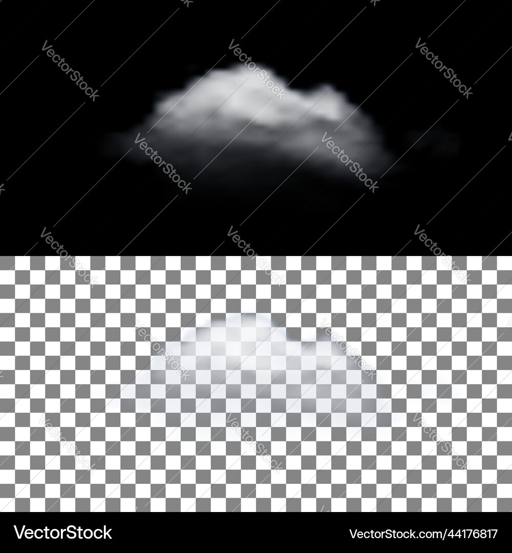 Realistic cloud with transparency Realistic cloud with transparency vector image