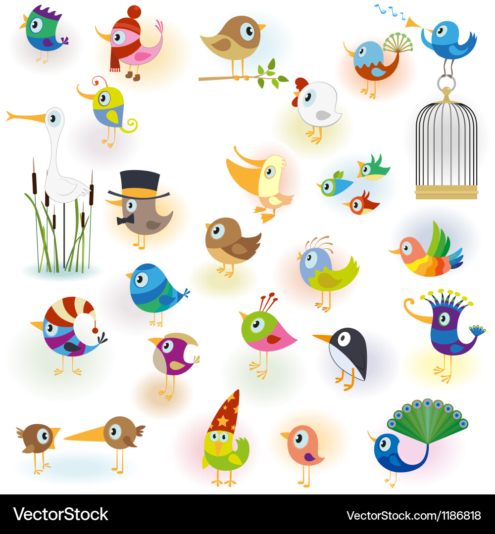Cartoon Bird Collection Vector Image