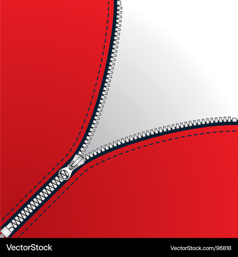 Diagonal Zipper Detail Vector Image