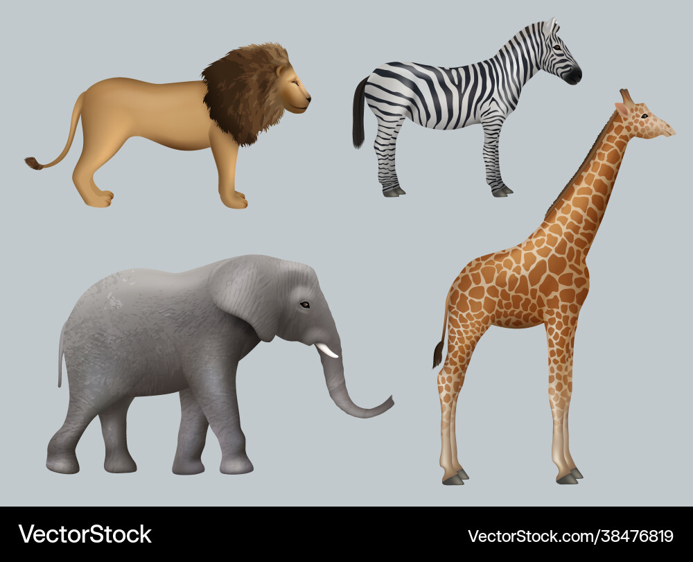 African Safari Animals - Lion, Zebra, Giraffe, Ele Vector Image