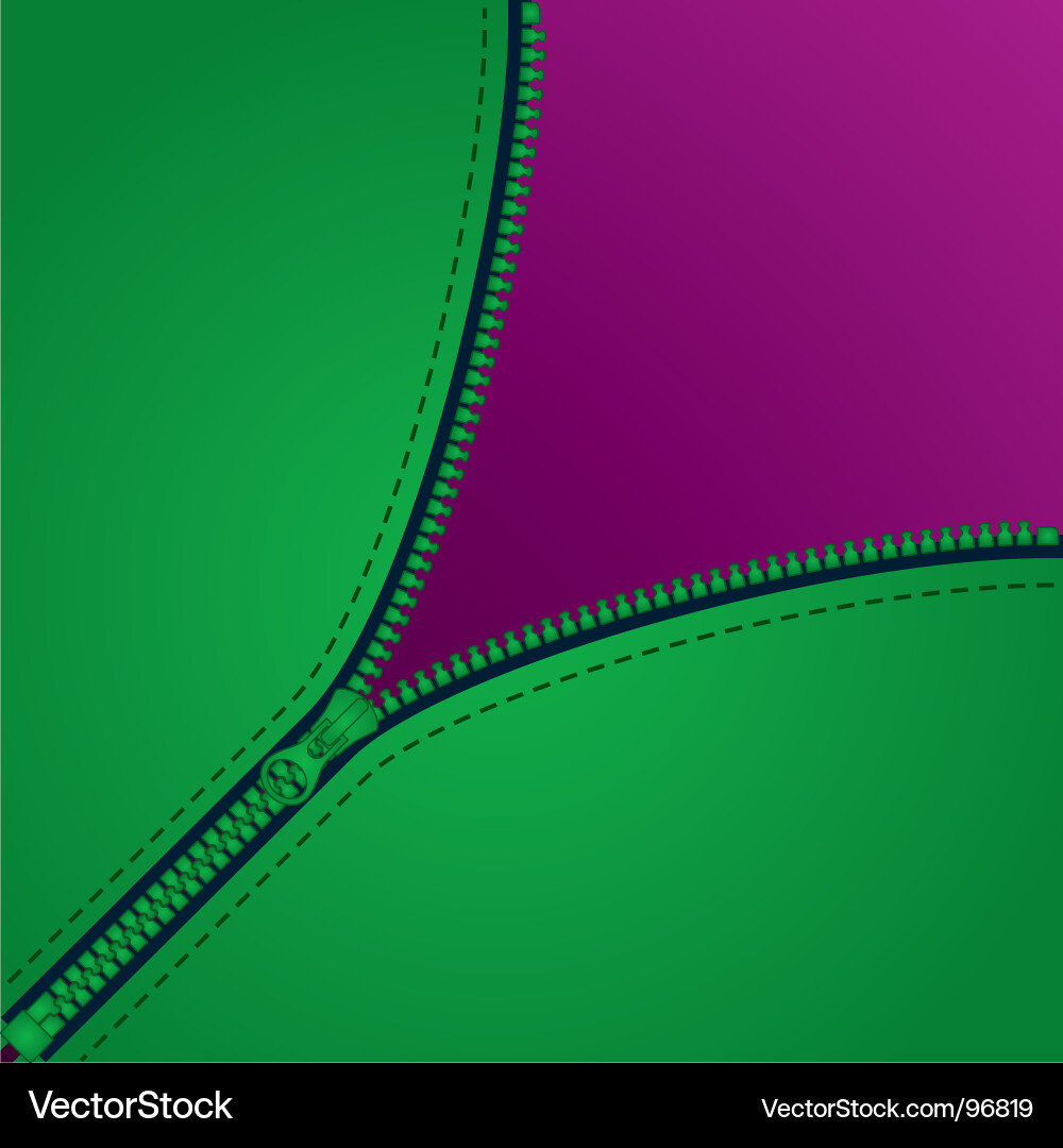 Diagonal Zipper Detail Vector Image