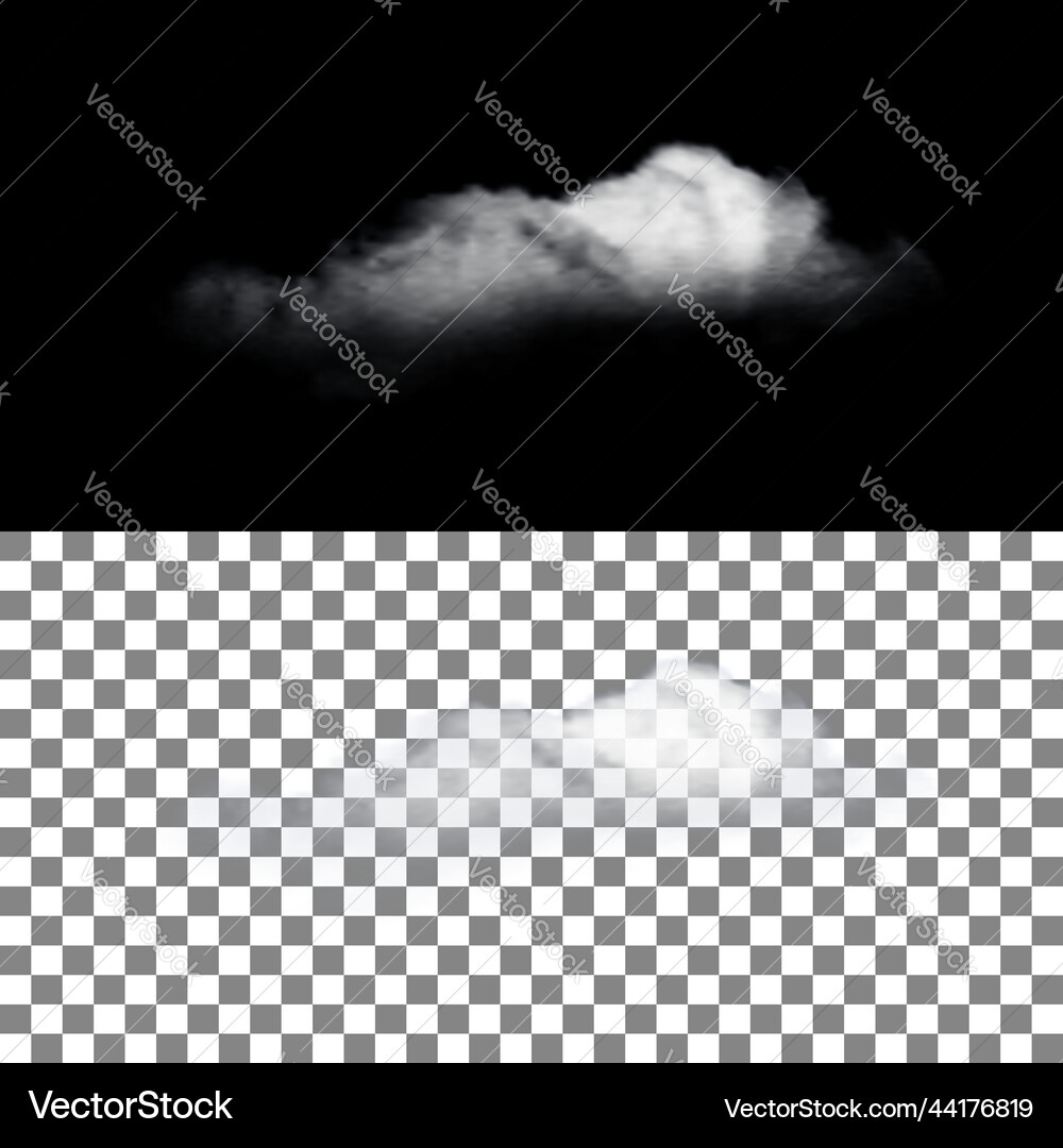 Realistic cloud with transparency Realistic cloud with transparency vector image