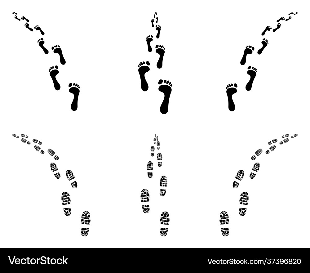 Footprints and Trails Vector Image
