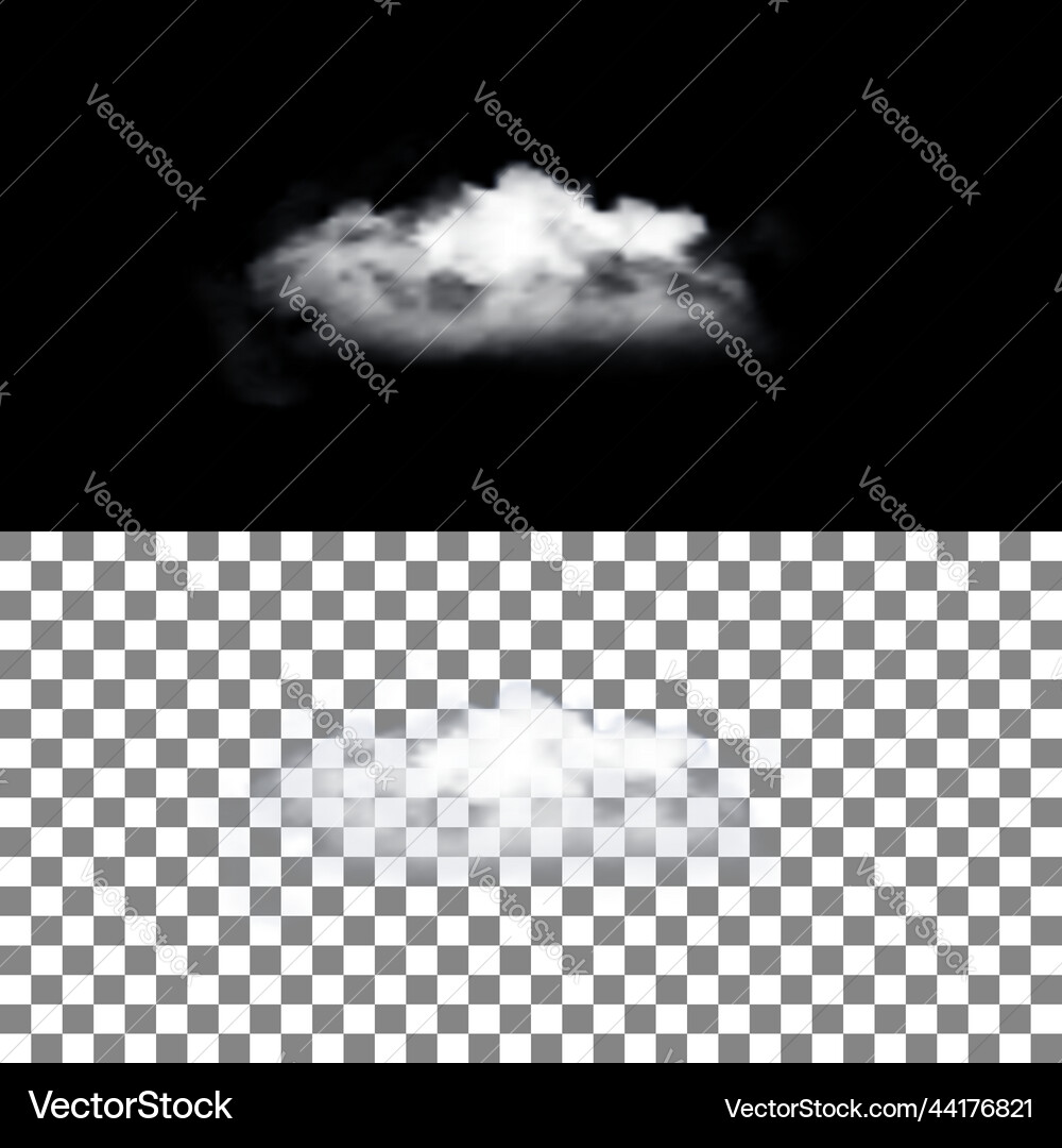 Realistic cloud with transparency Realistic cloud with transparency Vector Image