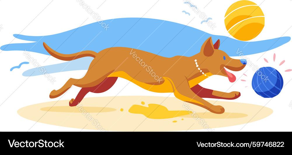 Energetic Dog Playing Fetch Royalty Free Vector Image