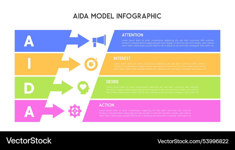 Horizontal aida model infographic with colorful Horizontal aida model infographic with colorful vector image