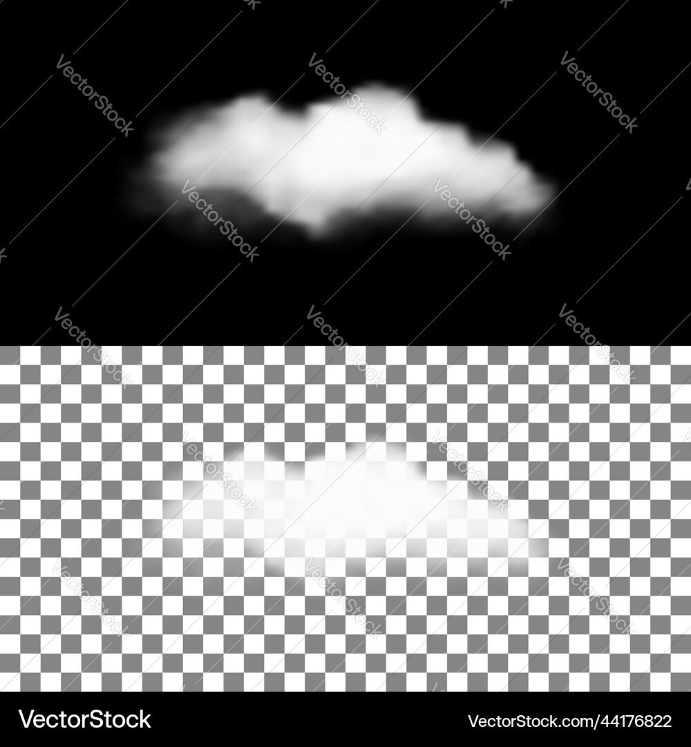 Realistic cloud with transparency Realistic cloud with transparency Vector Image