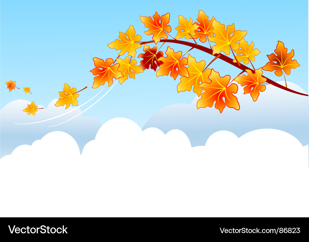 Autumn Maple Branch Vector Image