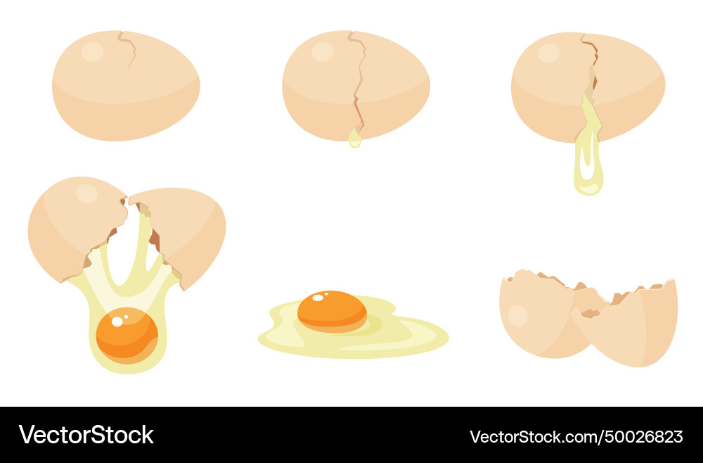 Broken egg sequence game animation set animated vector image