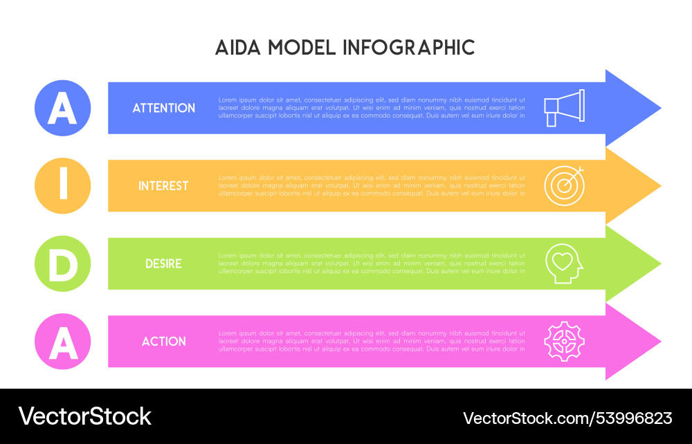 Horizontal aida model infographic with colorful Vector Image