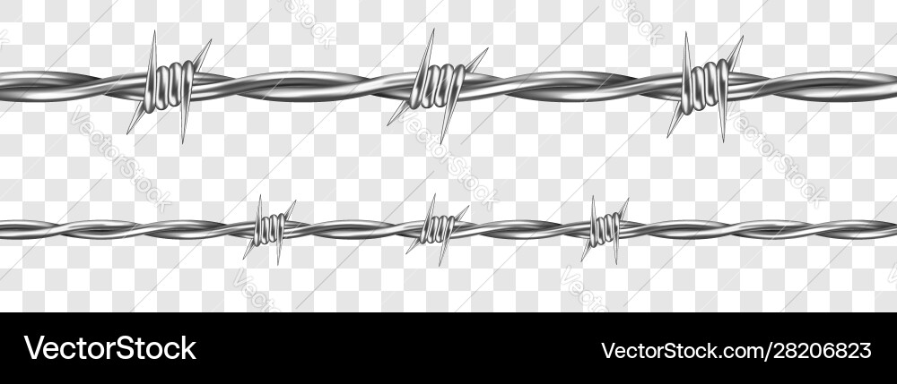 Metal steel barbed wire with thorns or spikes Metal steel barbed wire with thorns or spikes vector image
