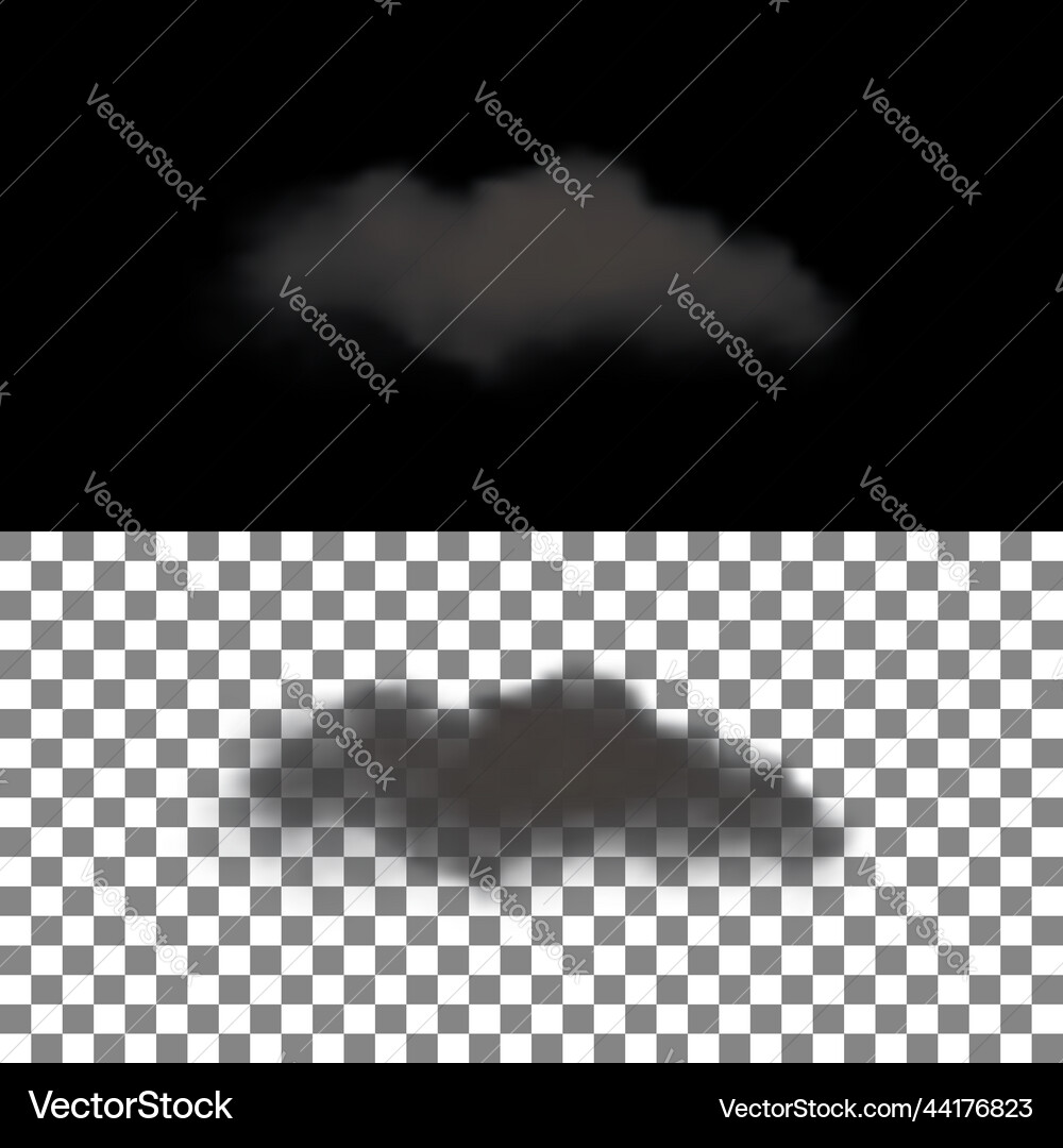 Realistic cloud with transparency Realistic cloud with transparency vector image