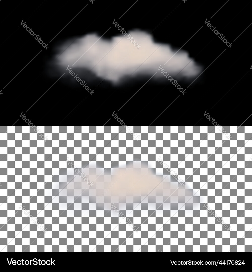 Realistic cloud with transparency Realistic cloud with transparency Vector Image