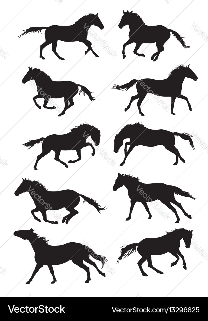 Horse Silhouettes Collection Vector Image
