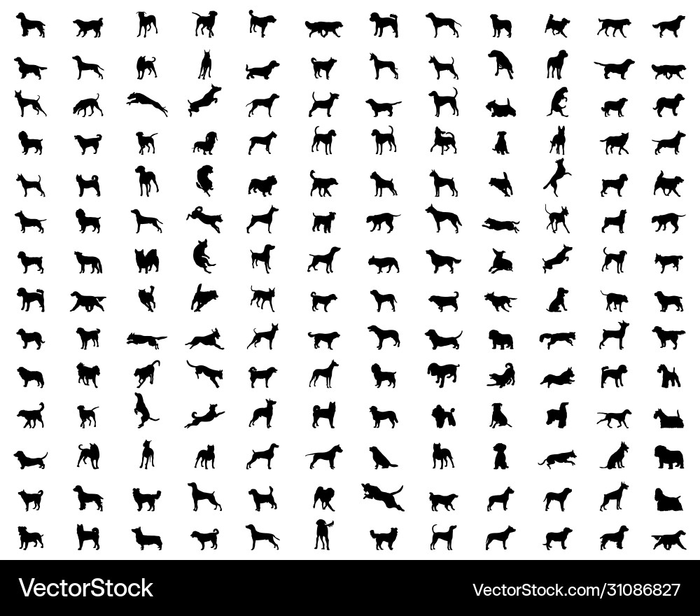 Dog Silhouettes Collection Vector Image