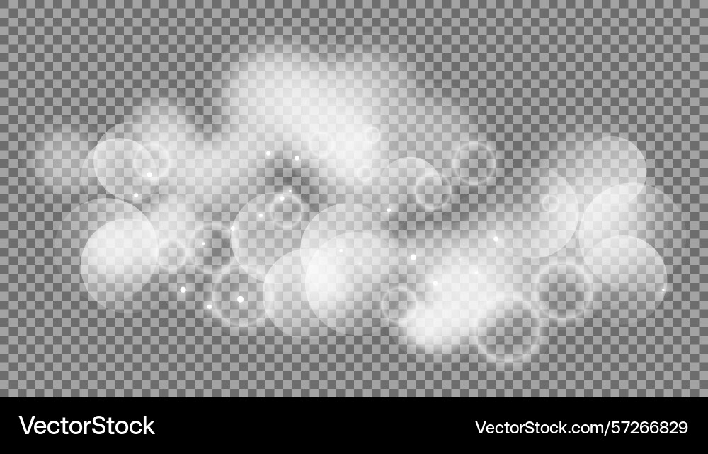 Bokeh circles on transparent background Bokeh circles on transparent background vector image