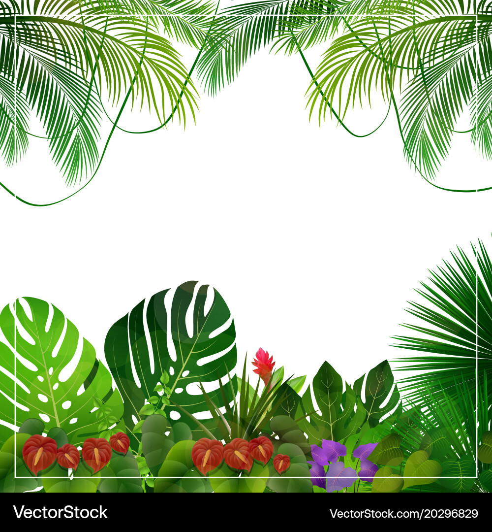 Tropical jungle background Royalty Free Vector Image