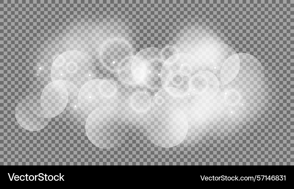 Bokeh circles on transparent background Bokeh circles on transparent background vector image