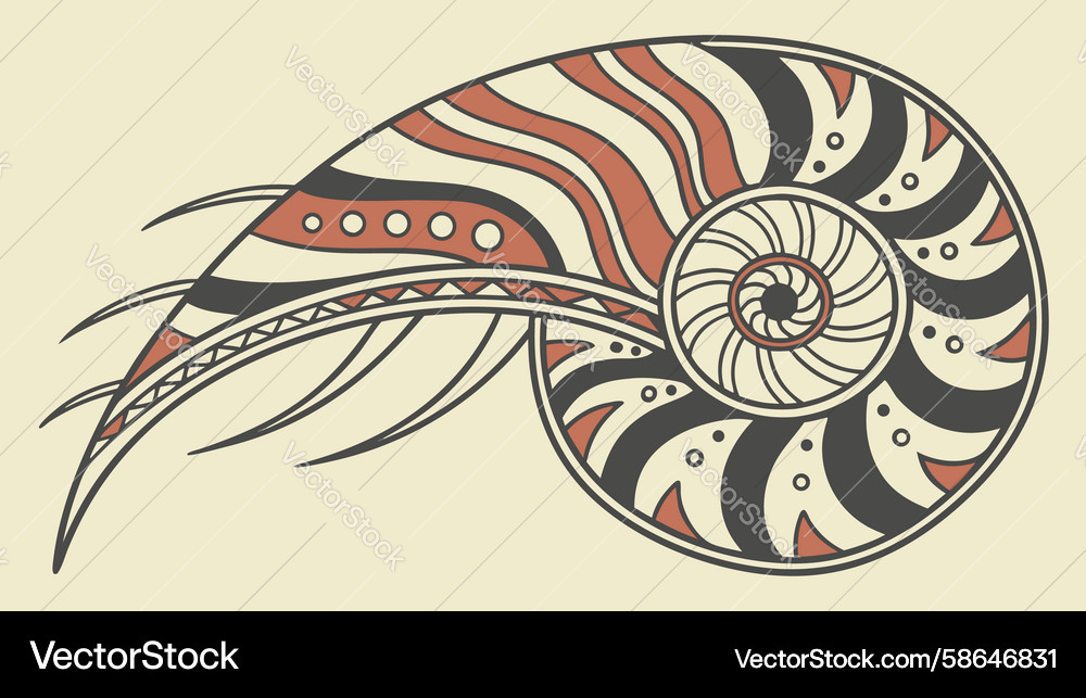Geometric Nautilus Spiral Artwork Vector Image