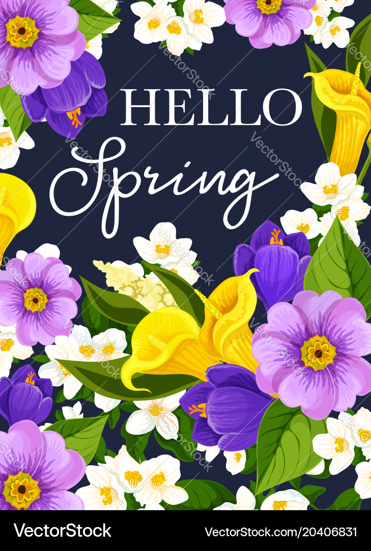 Spring Flowers Greeting Card Vector Image
