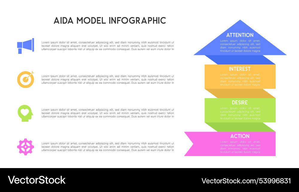 Vertical aida model infographic with color-coded Vertical aida model infographic with color-coded vector image