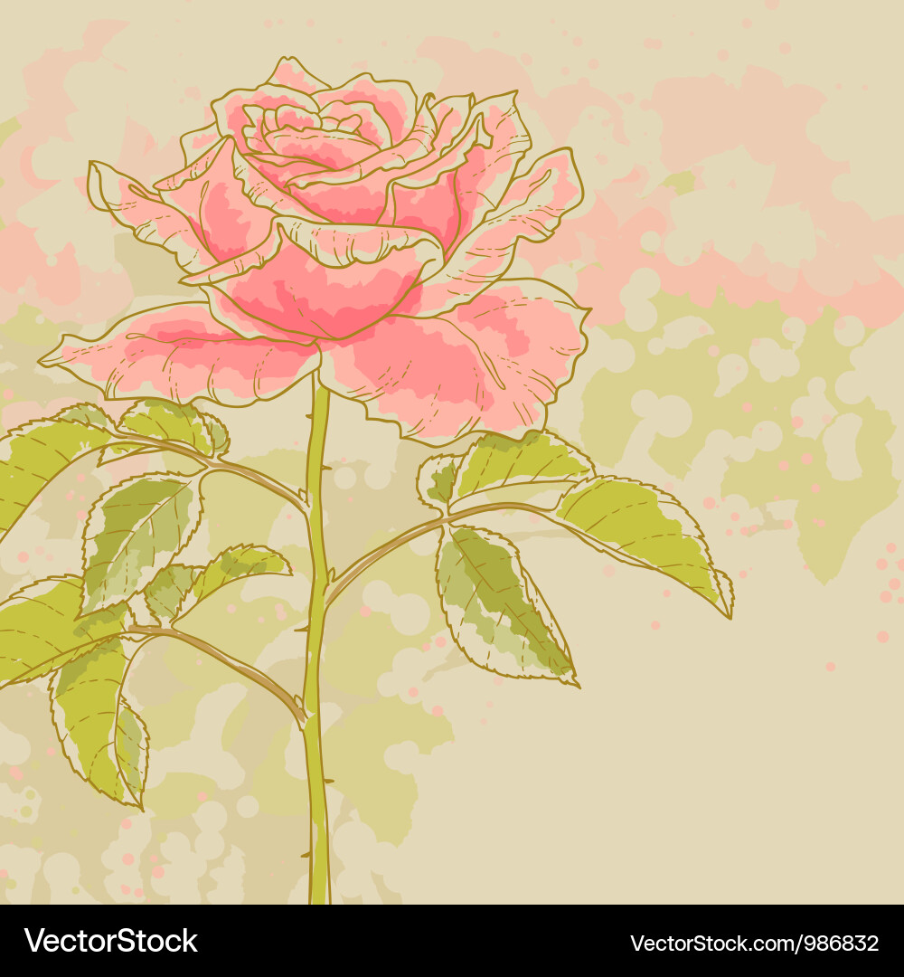 Pink Rose Contouring Vektorbild