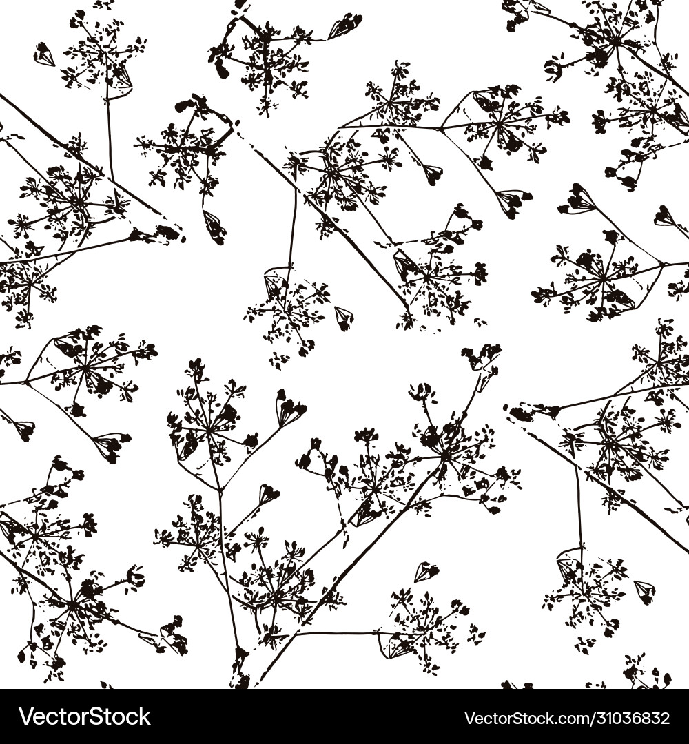 Seamless pattern with image herb vector image