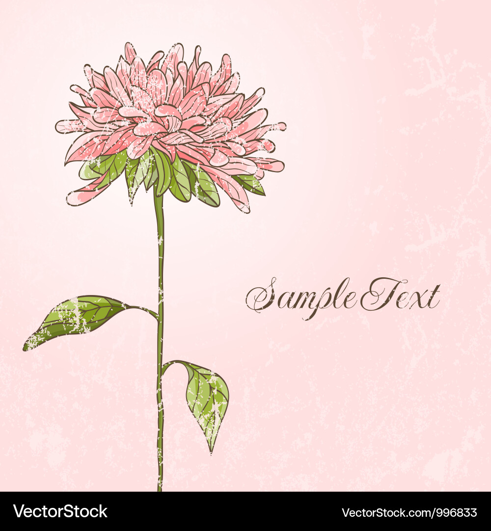 Floral Sketch - Pink Watercolor vector image