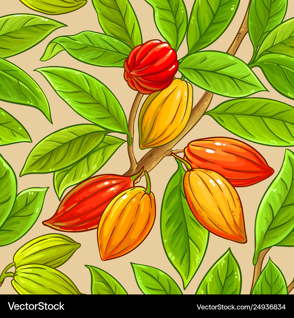 Cocoa Bean Branch Pattern vector image