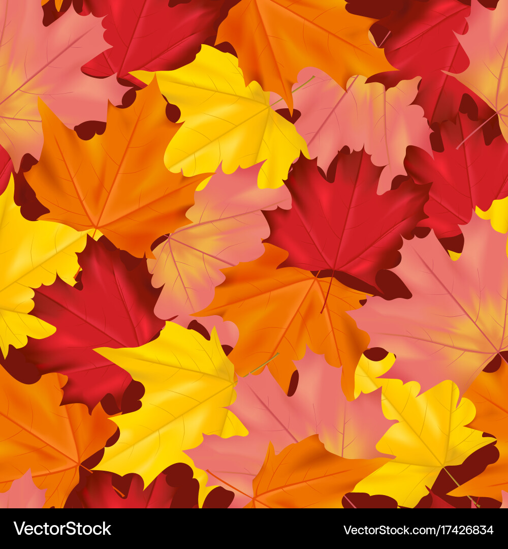 Seamless colorful autumn leaves background pattern Vector Image